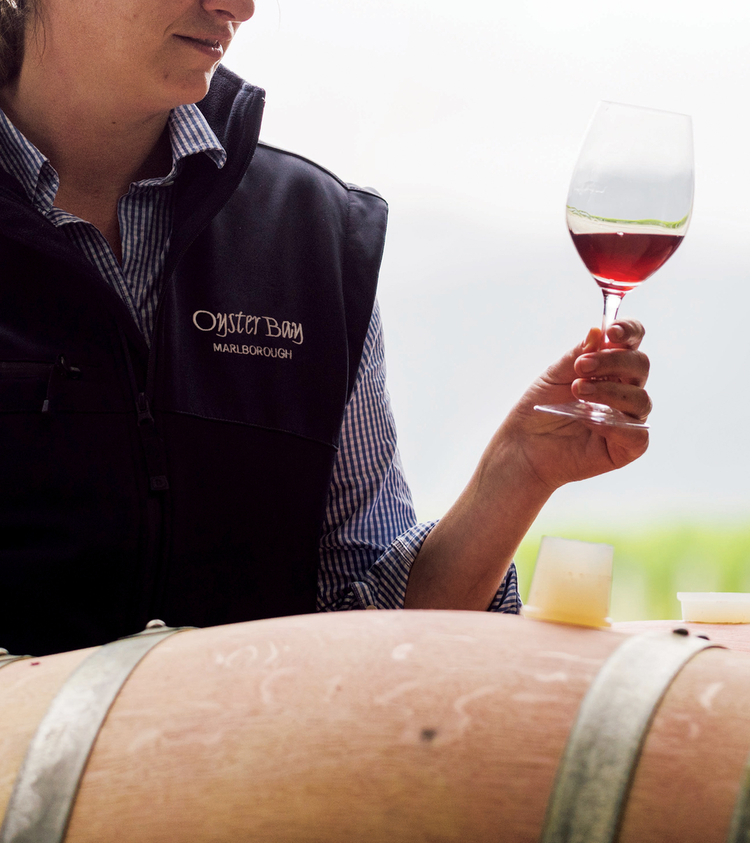 oyster bay marlborough winery winemaker