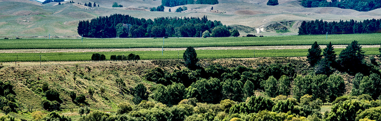 Hawkes Bay Main Banner