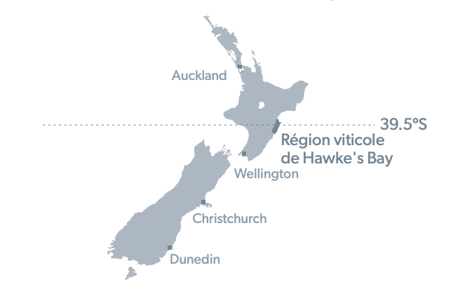 Hawke's Bay Wine Region