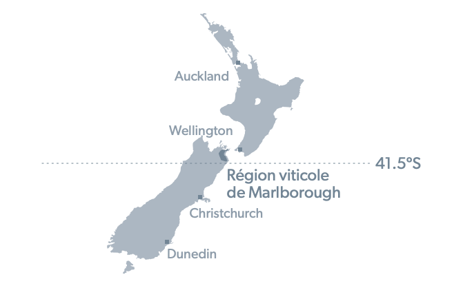 Hawke's Bay Wine Region