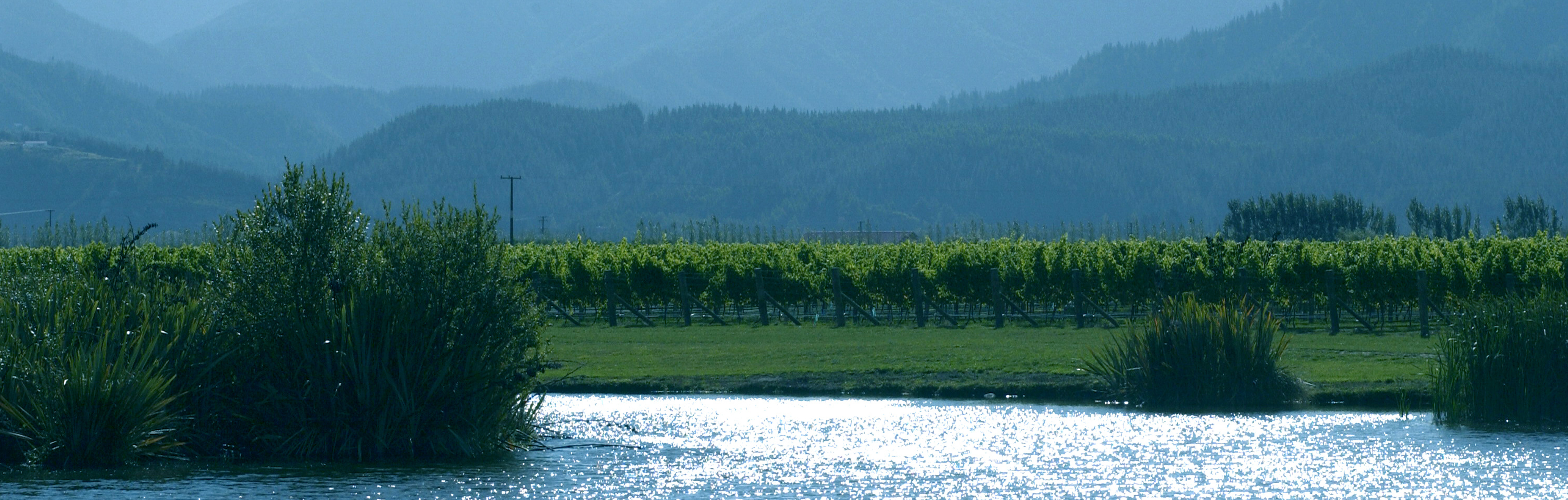 oyster bay marlborough fault lake