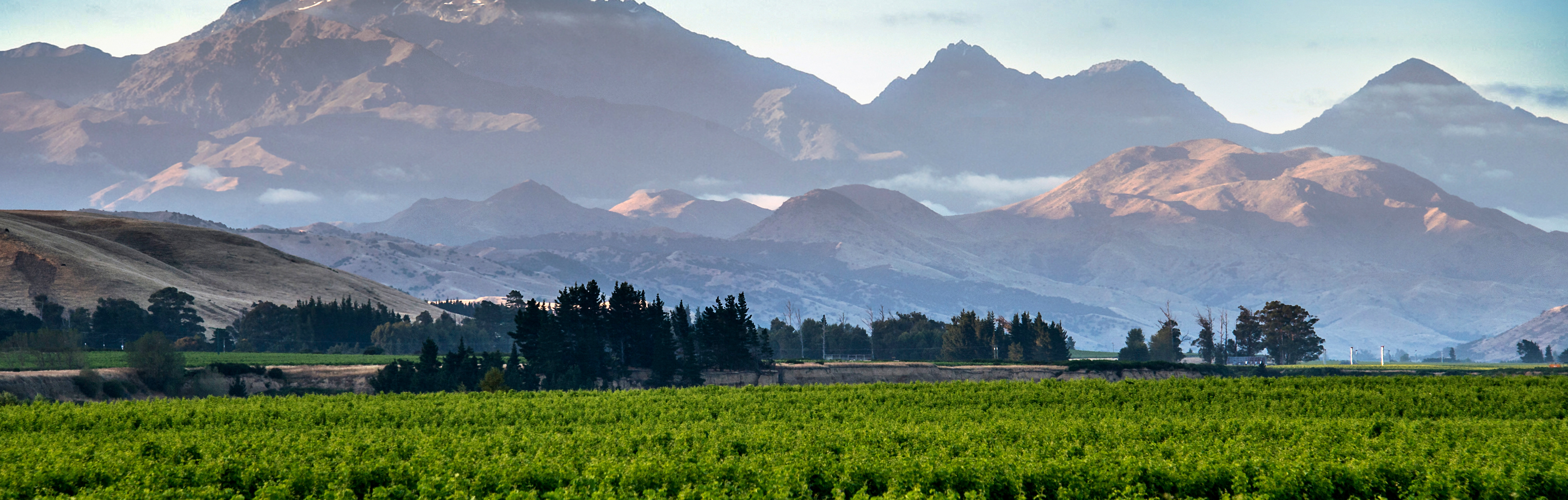 oyster bay marlborough vineyard mountains