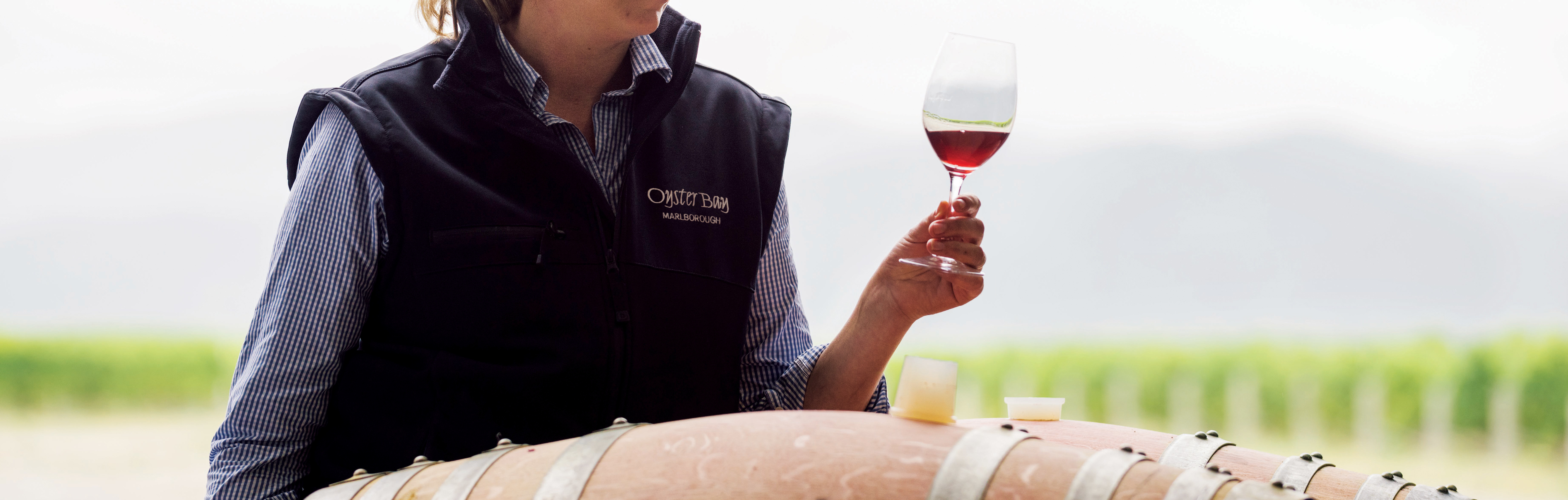 oyster bay marlborough winery winemaker