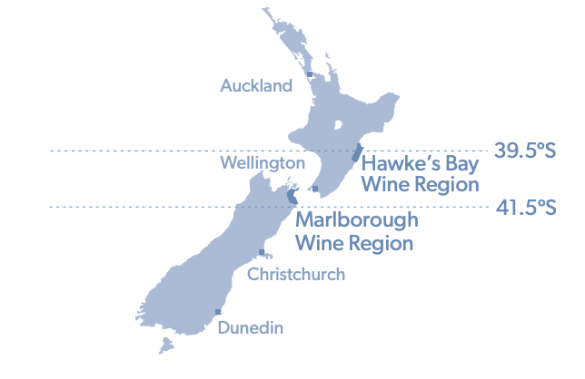 Hawkes Bay Wine Region