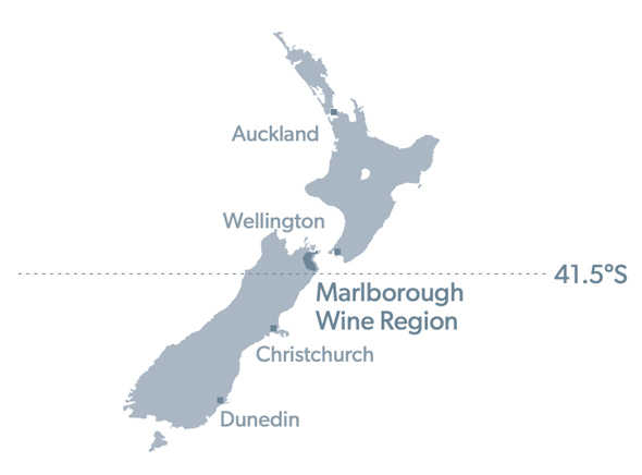 Hawke's Bay Wine Region